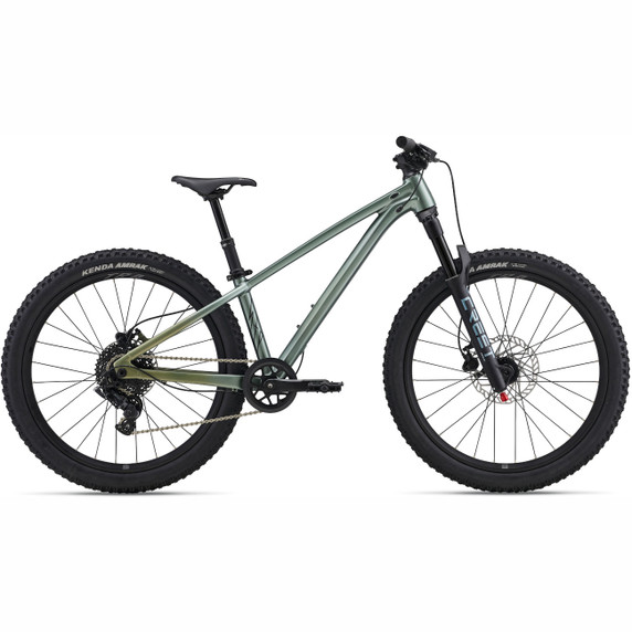 Liv STP Apline Green 24"