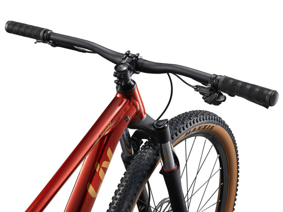Liv Tempt 2 29inch Mars Dust MTB Bike