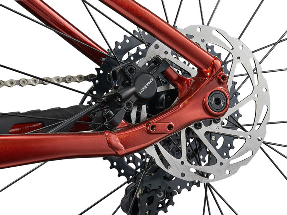 Liv Tempt 2 29inch Mars Dust MTB Bike