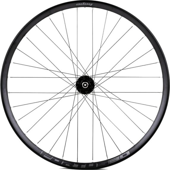 Hope Fortus 30W Pro 4 29" 6 Bolt Front Wheel