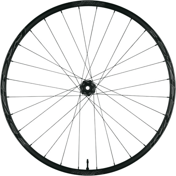Race Face Turbine 35 29" 6 Bolt Rear Wheel