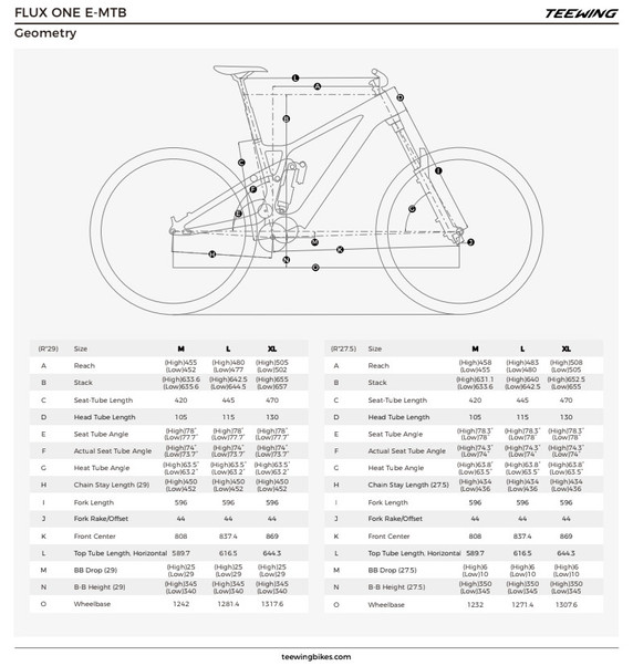 Teewing Flux Frameset Cosmic Black