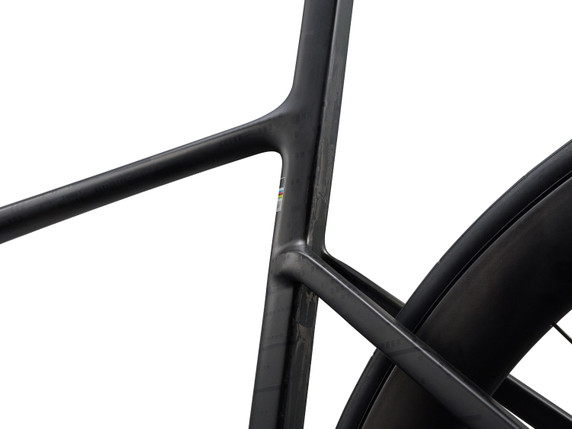 Liv EnviLiv Advanced SL 1 Raw Carbon