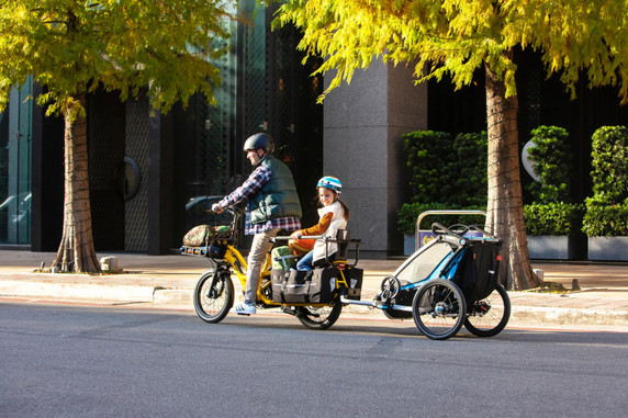 Tern GSD Tail Hitch LG