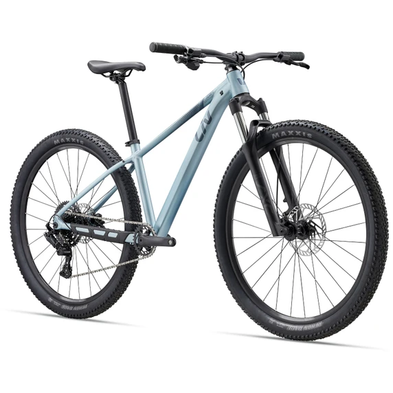 Liv Tempt 2 29 Cryo Silver