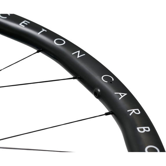 Princeton Carbon Works ALTA DT240 Black Disc Brake Wheels