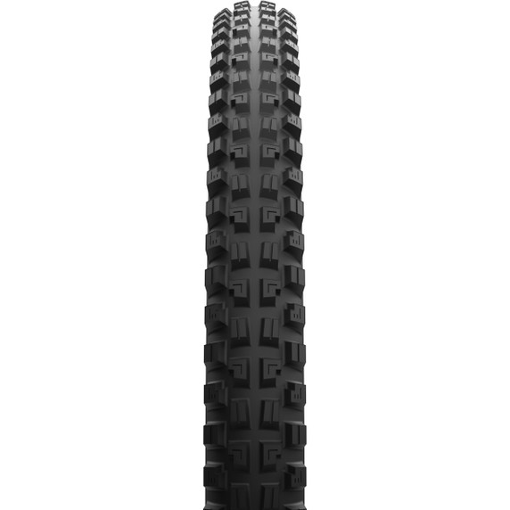 Maxxis Minion DHX Tubeless Folding 29" Tyre