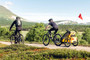 Thule Chariot Sport 1-Seat Kids Bike Trailer Midnight Black