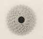 Sunrace 12-28T 7sp Cassette