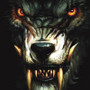 Dirtsurfer Mudguard Werewolf
