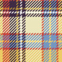 Dirtsurfer Mudguard Plaid To The Bone 3