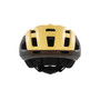 Oakley ARO3 Endurance Road Helmet Matte Fraktel Light Curry