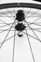 Fulcrum Speed 42/57 Disc Brake Sram XDR Wheelset