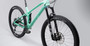 YT Izzo Core 2 29" Carbon/Alloy  Wasabi Green MTB Large
