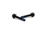 Campagnolo Screws for Rear Disc Brake Caliper Mounts