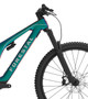 Forestal Cyon Diode 29" Carbon Electric Mountain Bike - Bird's Trail