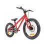 DMR Sidekick Pedal Red Kids Bike