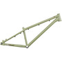DMR Sect 24 Custom Frame Pistachio
