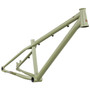DMR Sect 24 Custom Frame Pistachio