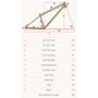 DMR Sect 26 Custom Frame Pistachio