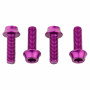Wolf Tooth Bottle Cage Bolts Purple