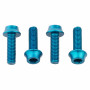 Wolf Tooth Bottle Cage Bolts Teal