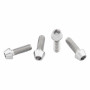 Wolf Tooth Ti Bottle Cage Bolts Raw