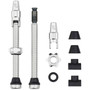 Wolf Tooth Tubeless Valve Kit for Clik Valves 60mm Raw Silver