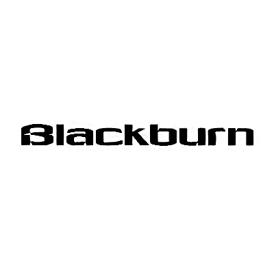 Logo Image Alt Text