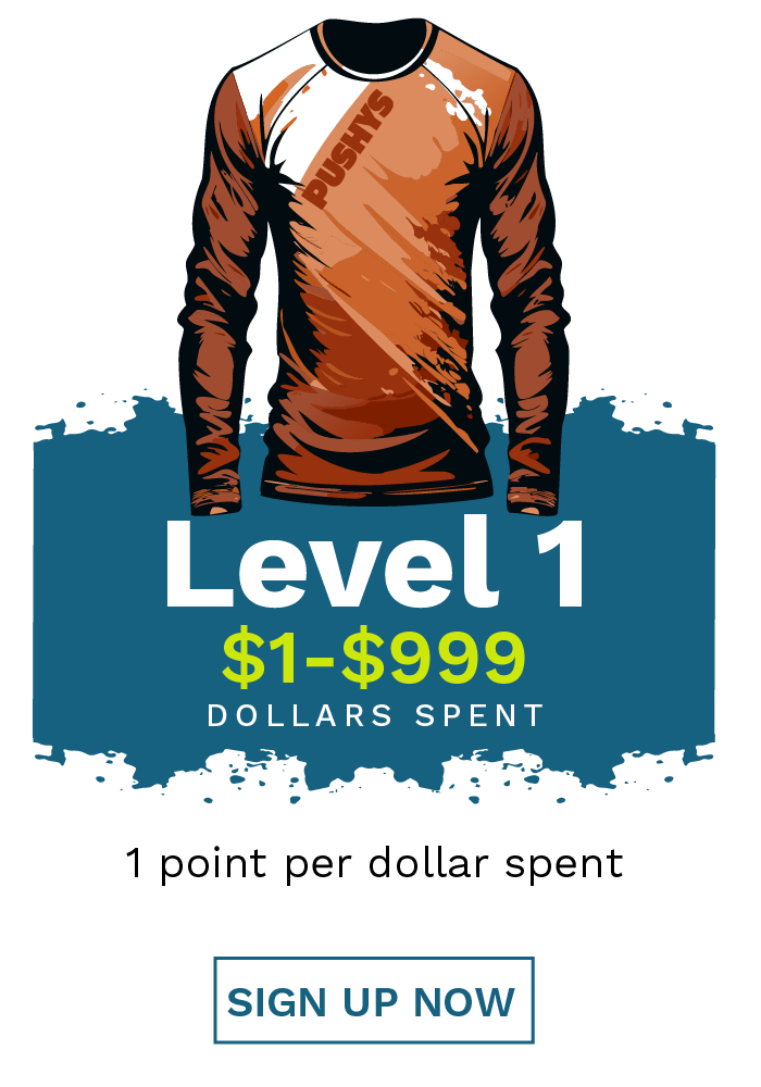 Level 1 