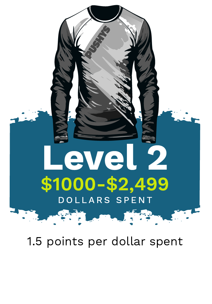 Level 2