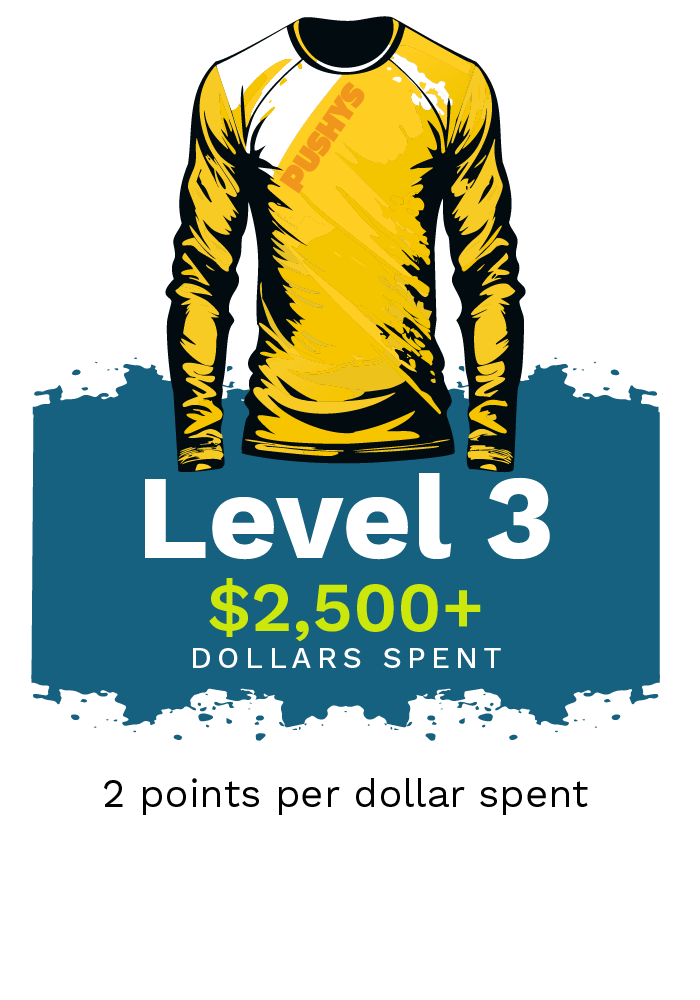 Level 3