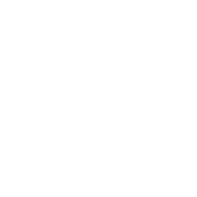 Selle SMP