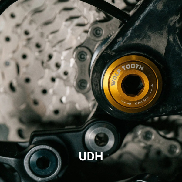 UDH