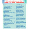 Clorox Disinfecting Aerosol Spray, 19 oz.