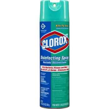 Clorox® Disinfecting Aerosol Spray, 19 oz.