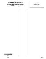 50104 - Mount Sheet/Progress Notes - Package (100)