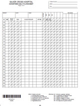 04348 - D.T. Daily Flowsheet - Package (100)