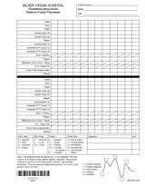 49822 - DT Intra-Aortic Balloon Pump Flowsheet - Package (100)