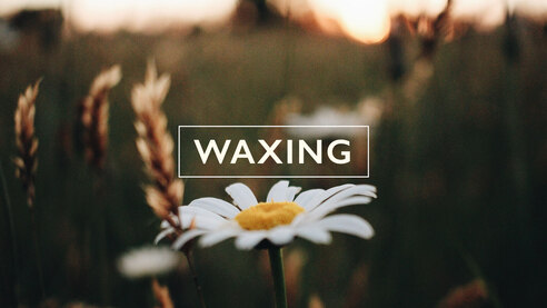 Waxing