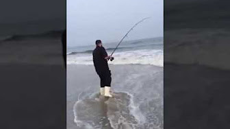 Long Island Surfcasting for Bluefish with poppers L.I. Outdoorsman