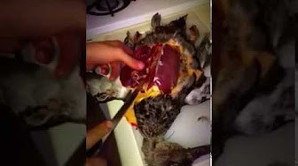 How to breast wild ducks (Part 1)  