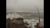 Surfcasting Long Island Jetty for Stripers and Bluefish  