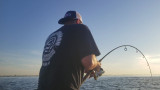 SHARKNADO! Hundred of Blacktip sharks outside Debs Inlet, Long Island September 2018