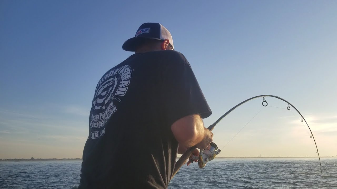 SHARKNADO! Hundred of Blacktip sharks outside Debs Inlet, Long Island
