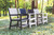 Mayhew Sling Chairs 