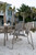 Murphy Outdoor Poly Dining Chair