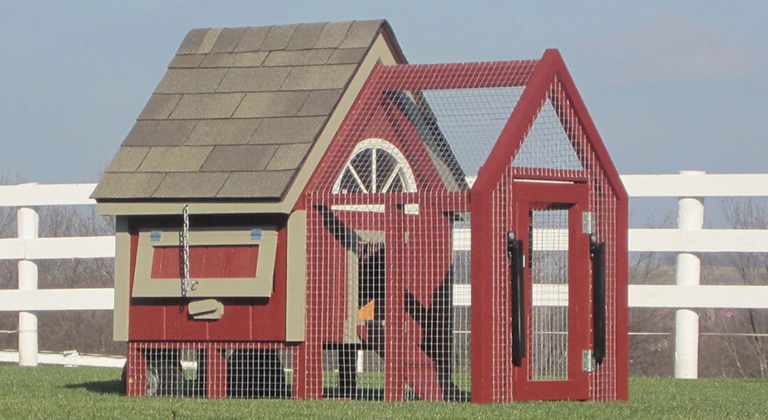 Chicken Coops & Rabbit Pens