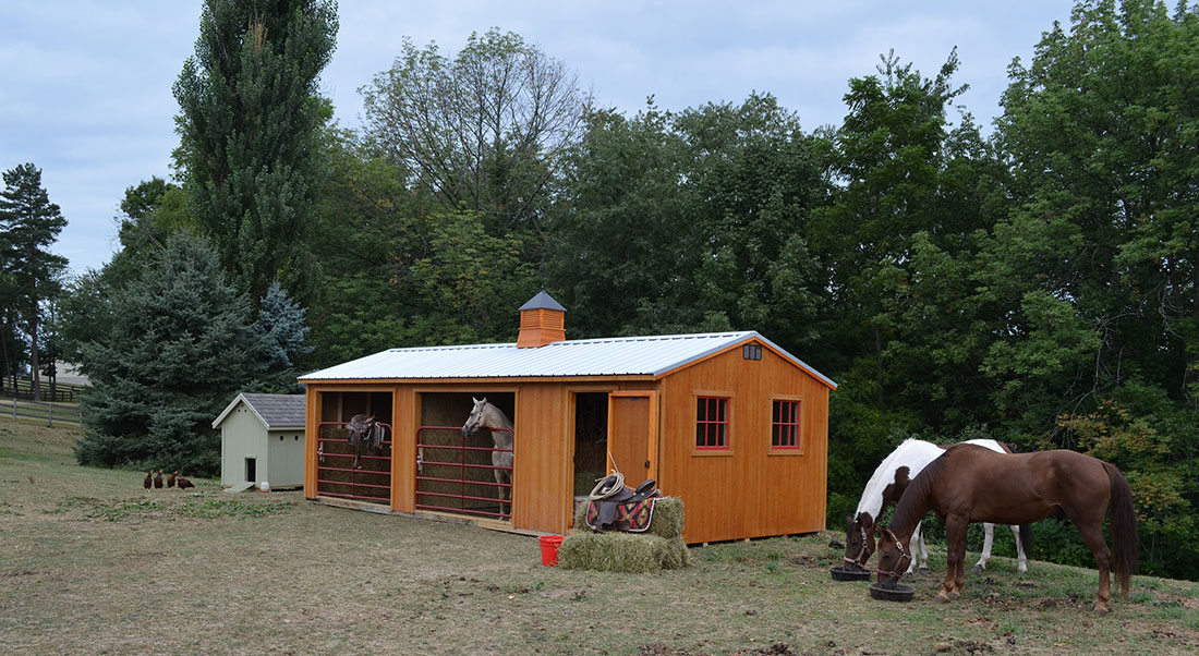 Dog and Horse Housing