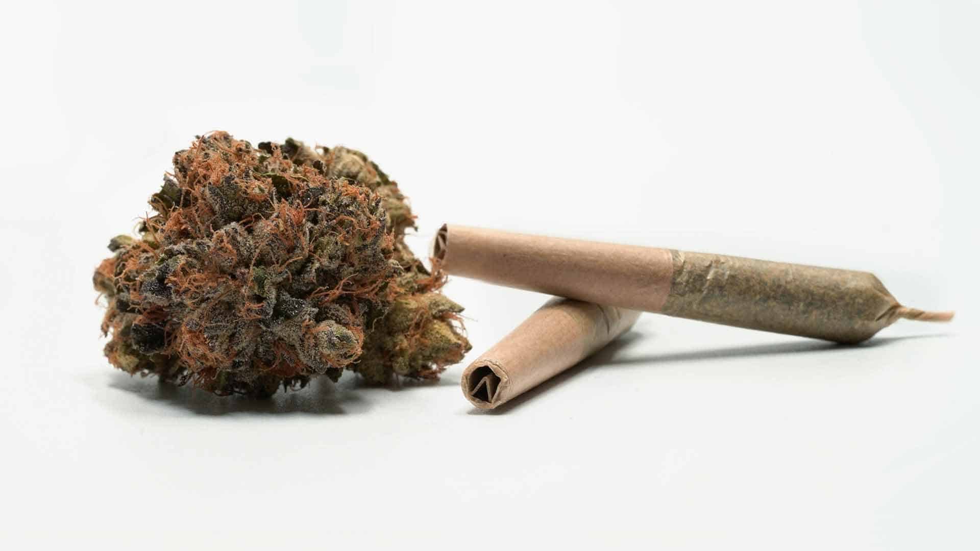 how to grind weed without a grinder